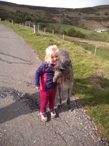 Another dog breed advice thread - sorry!