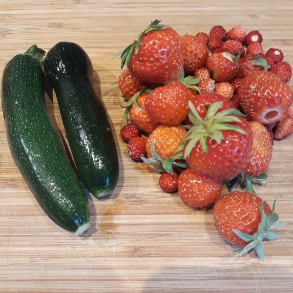 Allotment/Veg Patch Thread 14 ! growing into summer