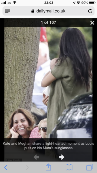 To feel sorry for Meghan Markle - she looked lonely holding baby Archie at the Polo game
