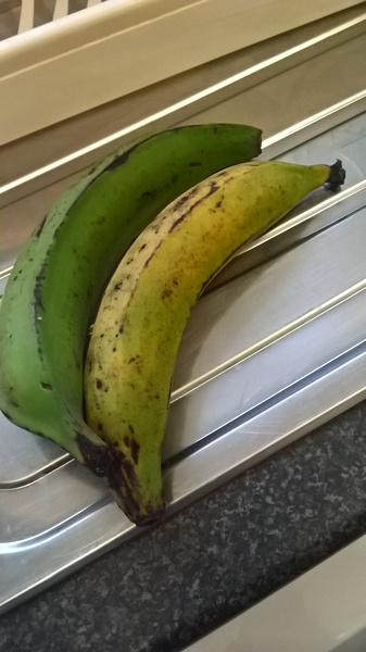 What have you eaten today?