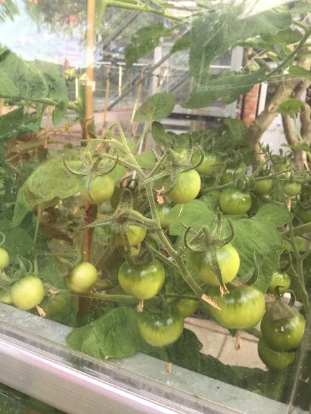 Westminstenders: On An Election Footing