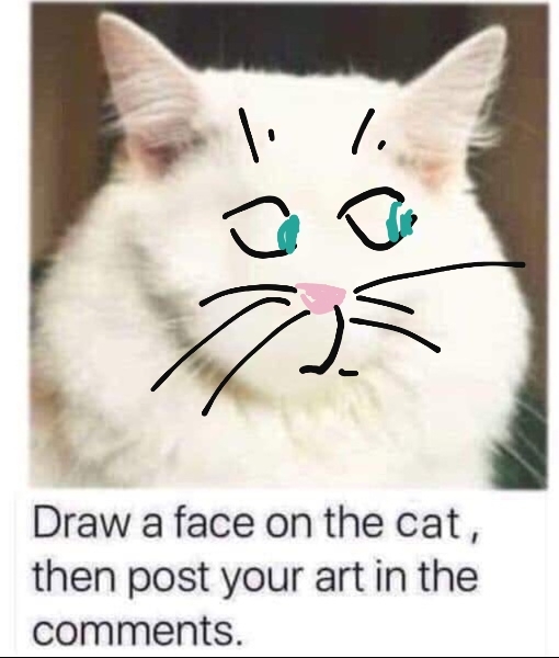 Draw a cat face challenge
