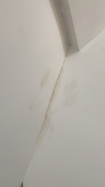 To ask about my leaking roof 😱