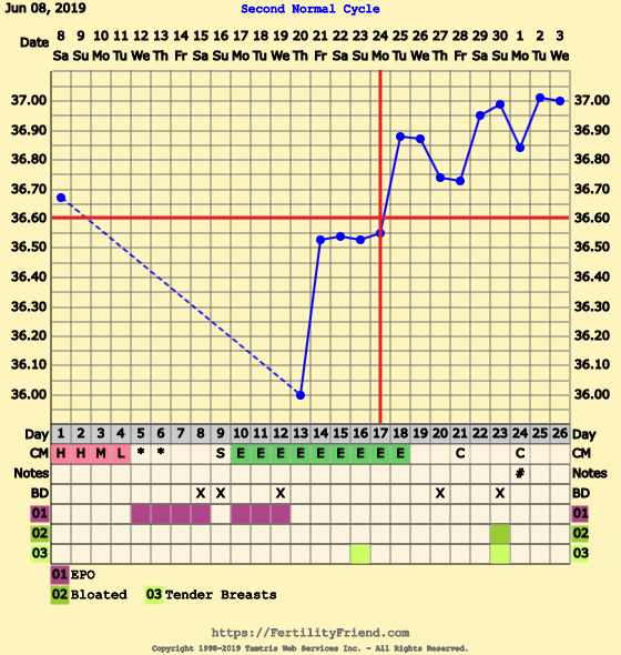 First Pregnancy Missed Miscarriage (Part III)