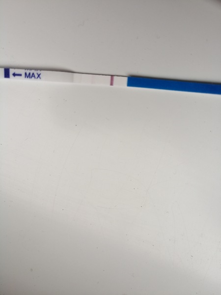 JULY BUS 2