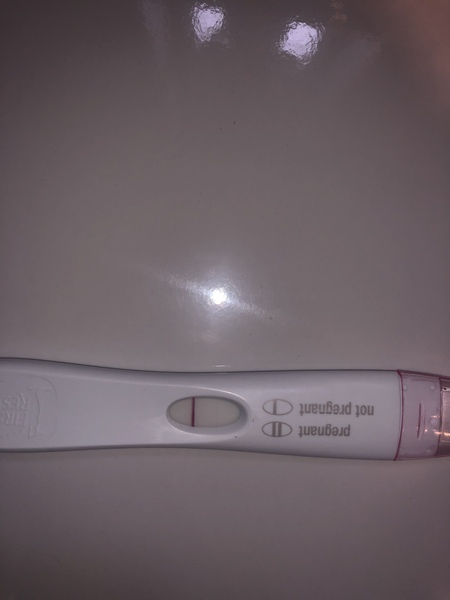 TTC after pregnancy loss thread 31 - baby penguins are coming!