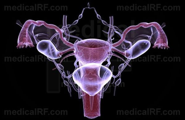 Ok so someone educate me about neo vaginas **Title edited by MNHQ at the OP's request**