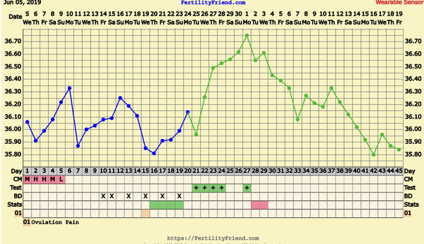 Bbt temps when pregnant?