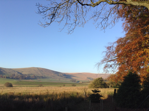Would you pay more for a house with a great view?
