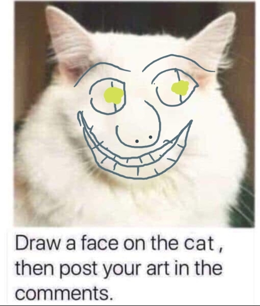Draw a cat face challenge