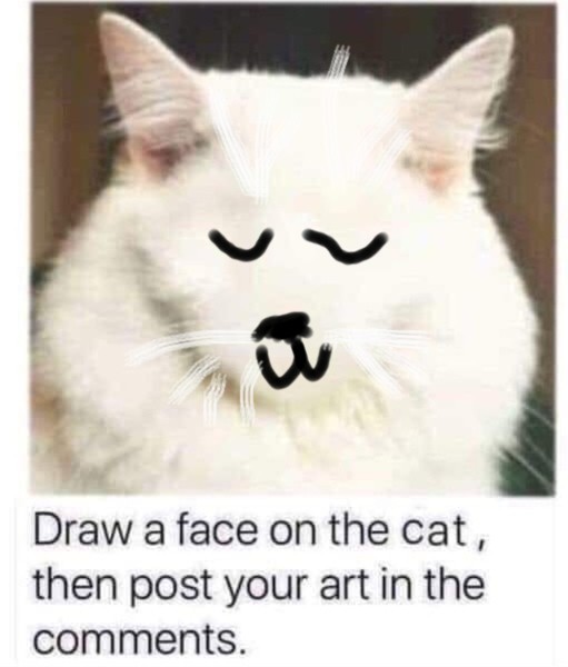 Draw a cat face challenge