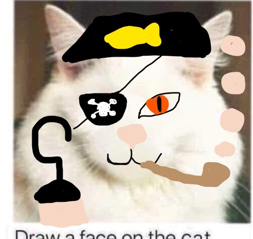 Draw a cat face challenge