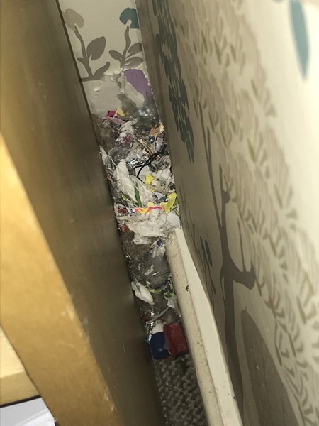 To let my hamster be a house hamster?