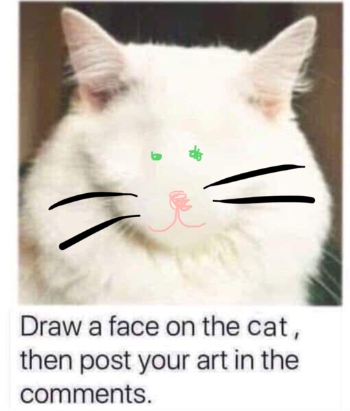 Draw a cat face challenge