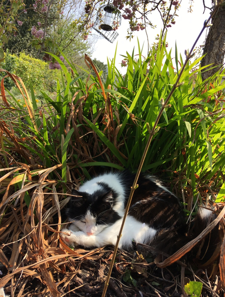 Half a stone (or 3kg) for July