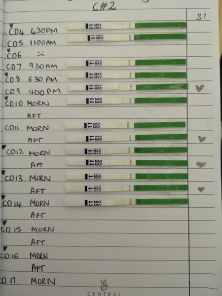 OPK test query