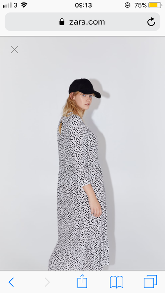 THAT Zara dress... have we done this already?