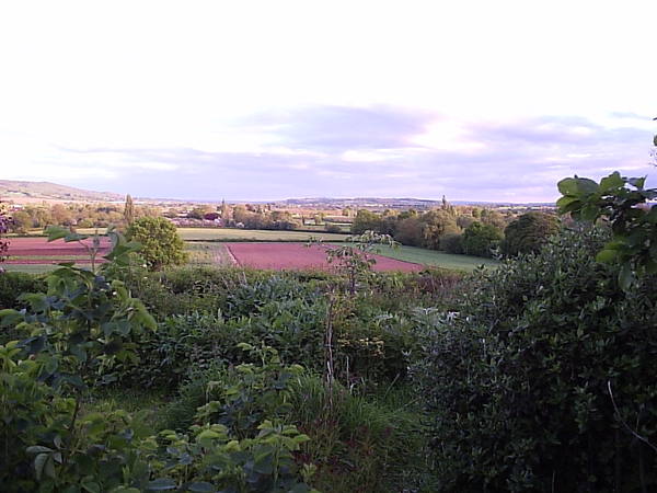 Would you pay more for a house with a great view?