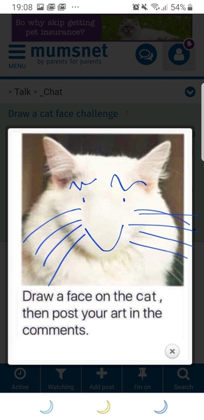 Draw a cat face challenge