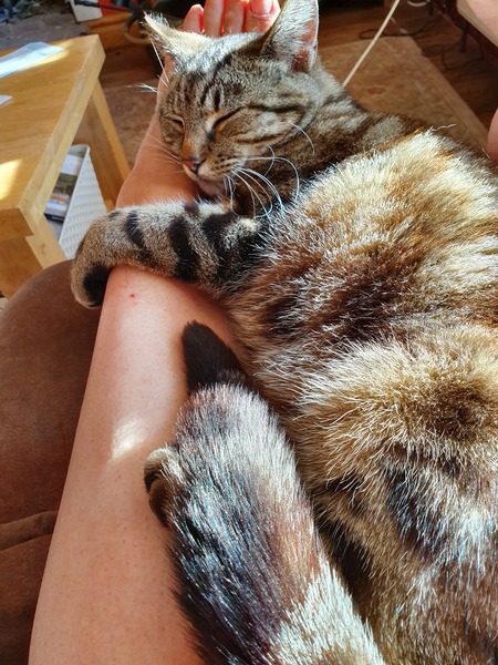 Half a stone (or 3kg) for July