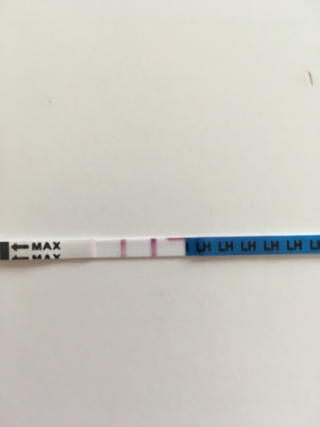 Miscarriage and first period