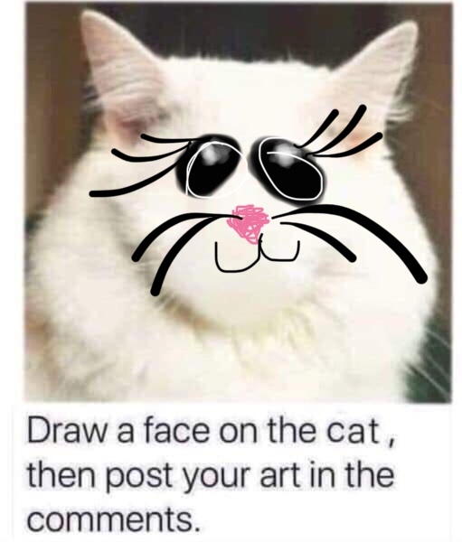 Draw a cat face challenge