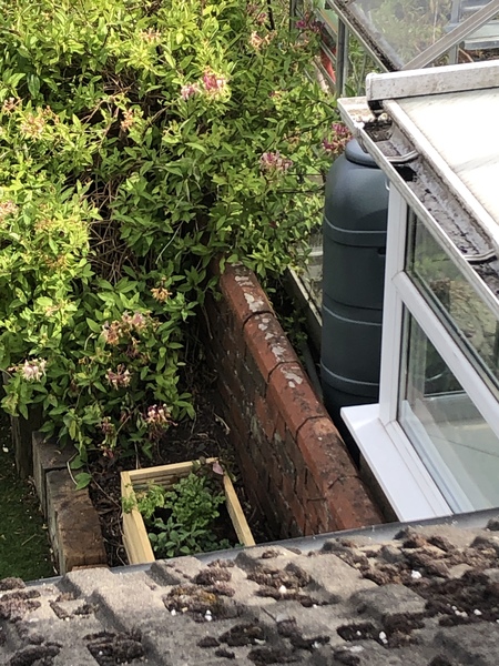 Am I ok to build a fence? (Photo)