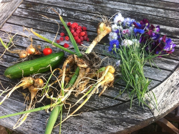 Allotment/Veg Patch Thread 14 ! growing into summer