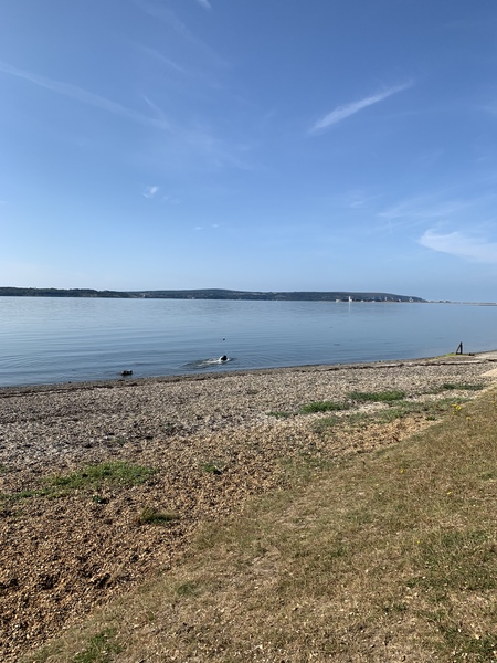 Do you live near the beach and if so, do you take your DC often?