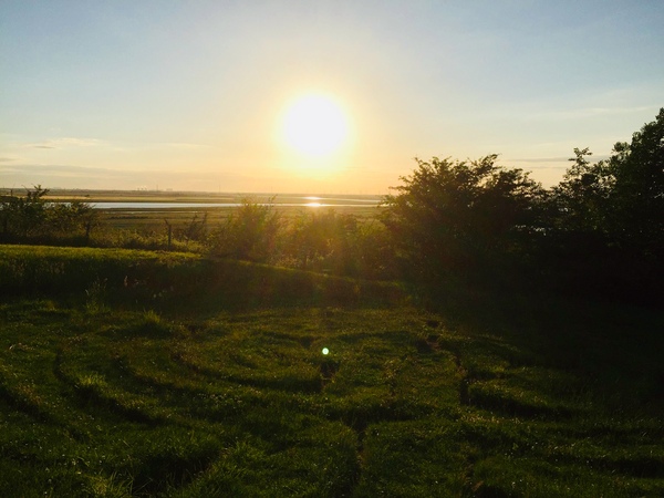 Any Witches Here? Part 8.