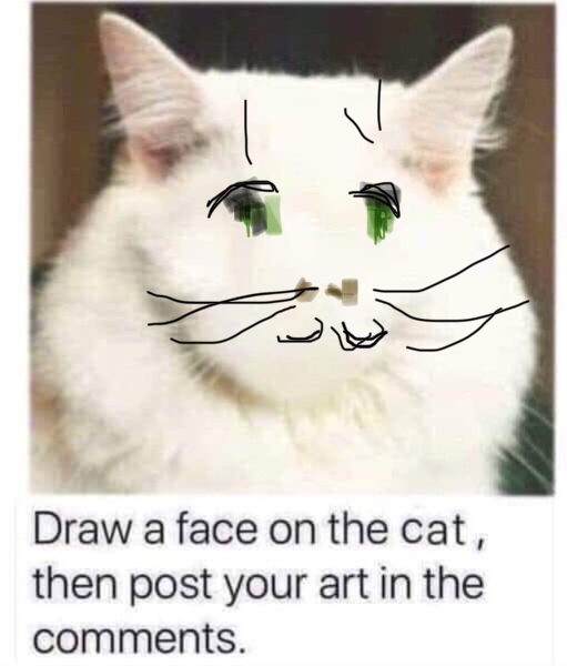 Draw a cat face challenge