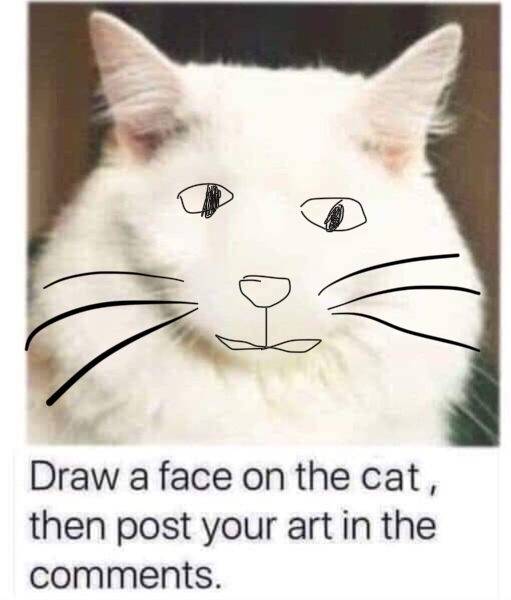 Draw a cat face challenge