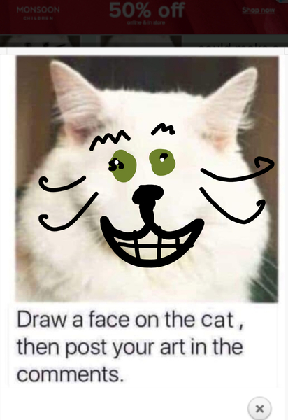 Draw a cat face challenge