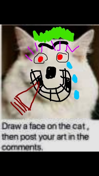Draw a cat face challenge