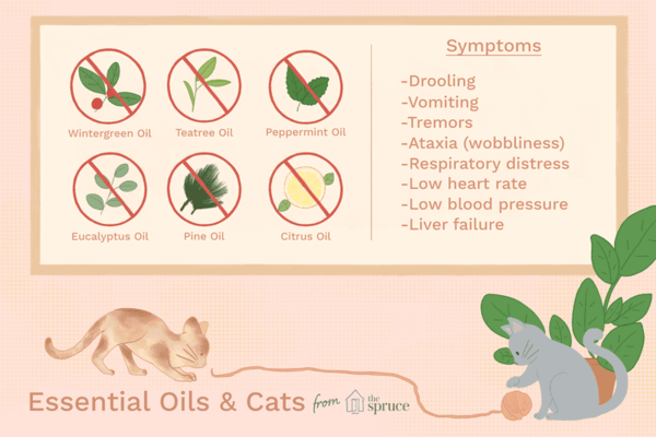 Does olbas oil really repel cats?