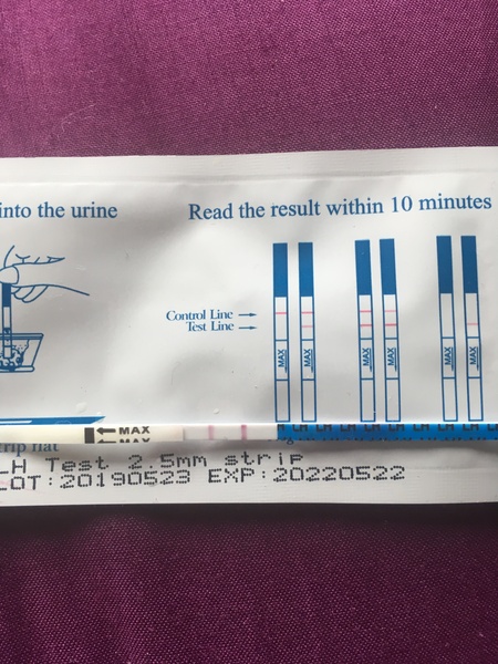 TTC after pregnancy loss thread 31 - baby penguins are coming!