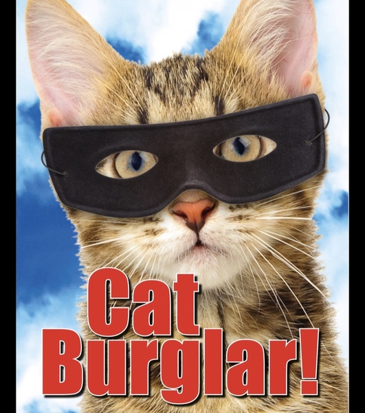 Next door's -thug- cat