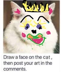 Draw a cat face challenge