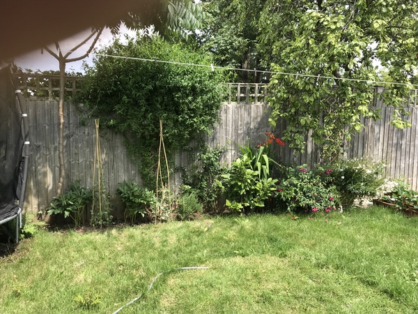 How can I make this flowerbed look better?