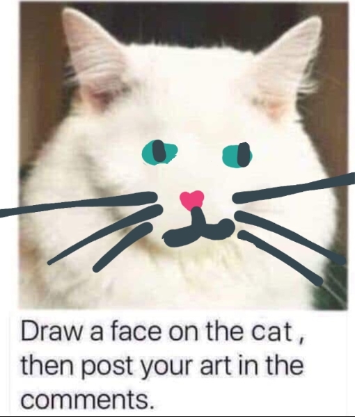 Draw a cat face challenge