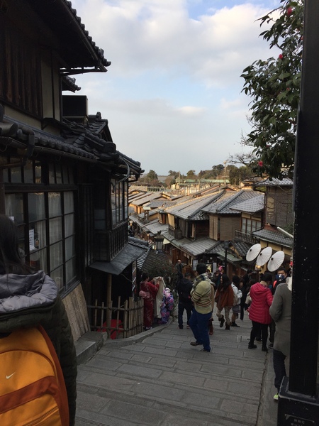 Tokyo - in 1 day what would you do?