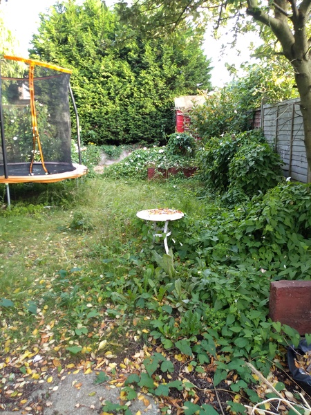 To wish I didn't have a garden