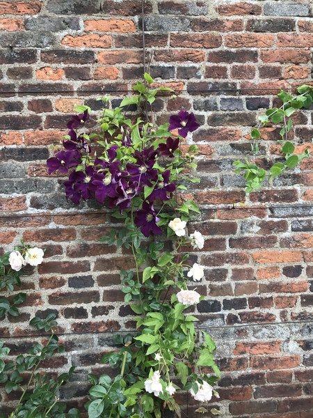 Frugal Friends, planning, saving and considerate spending through July and August