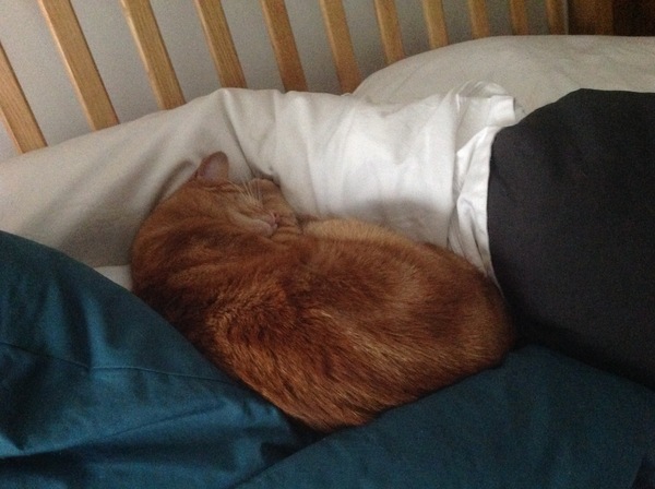 Reassurance required- he will bloody walk in at some point, won't he?