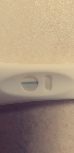 Merina pregnancy