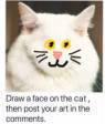 Draw a cat face challenge
