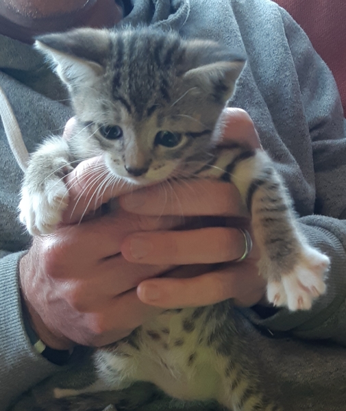 Smooshy tummy