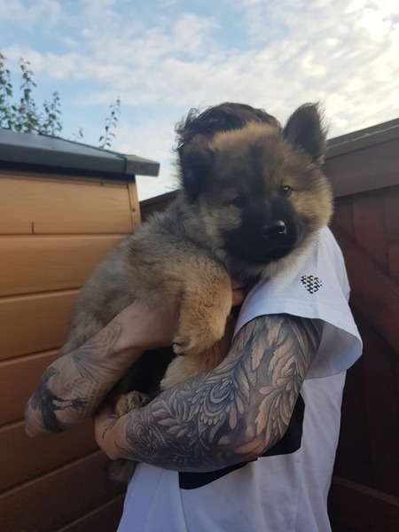 Meet Orla :)