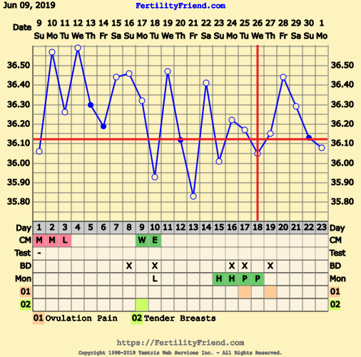First Pregnancy Missed Miscarriage (Part III)