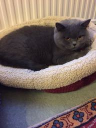 Westminsterenders where are you? NB this is NOT the official thread*